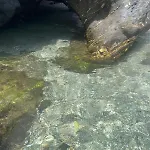 Prázdninový dům Avec Piscine Et Jacuzzi *